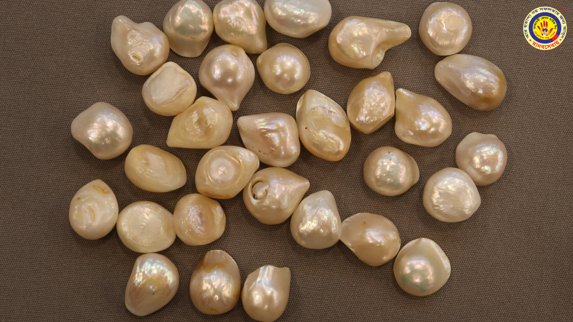 Read more about the article মুক্তা পাথর (Pearl Stone): গঠন, প্রকারভেদ, ধর্মীয় গুরুত্ব ও উপকারিতা
